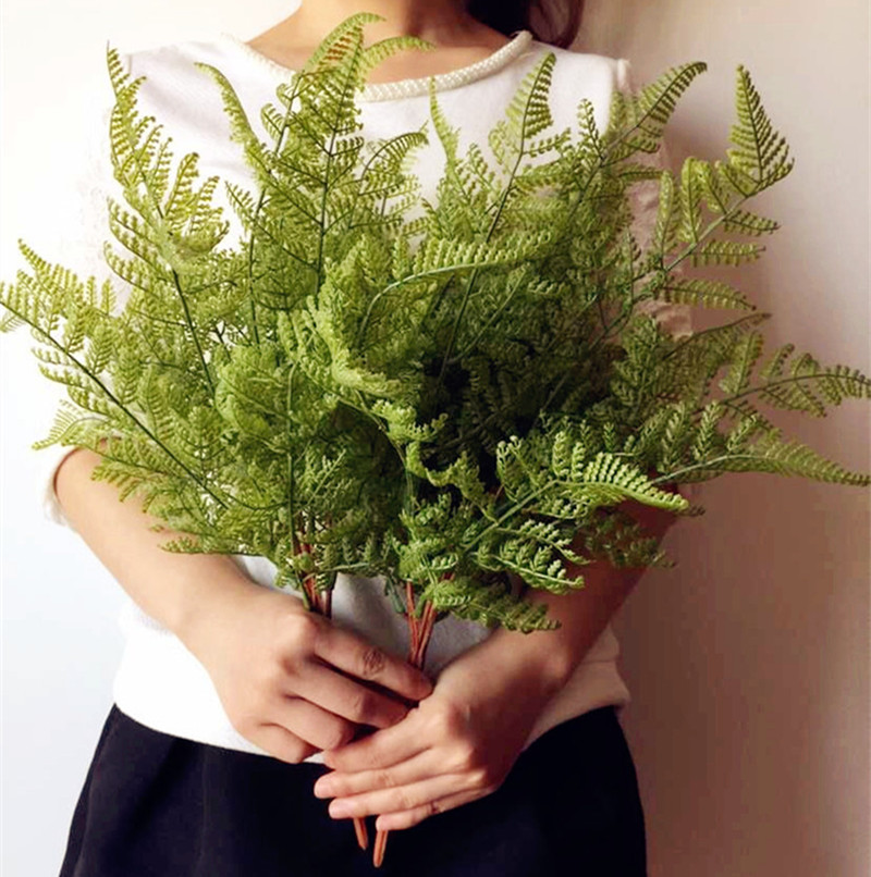 Sphagnum Moss Dry - Натуральный папоротник на ощупь, пучок листьев,