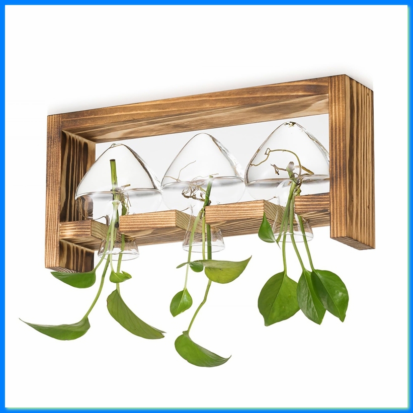 Propagation Station Vase - Стеклянная станция для размножения растений: винтажные