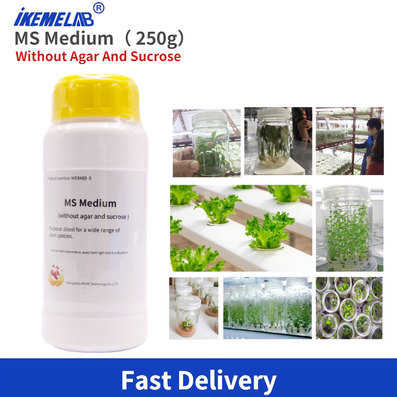 Agar Tissue Culture - IKEME Lab MS Средний 250 г
