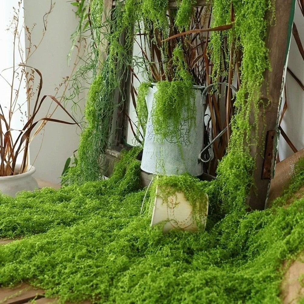 Sphagnum Moss Dry - Искусственный газонный ковер DIY: прочный, не