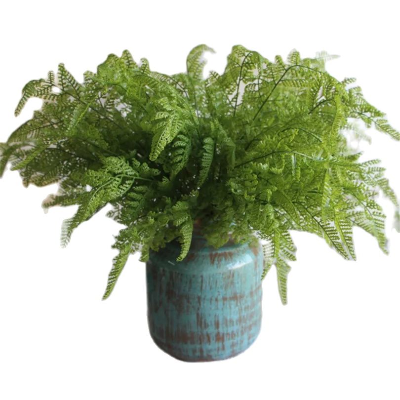 Натуральный папоротник на ощуп – обзор и цена Sphagnum Moss Dry