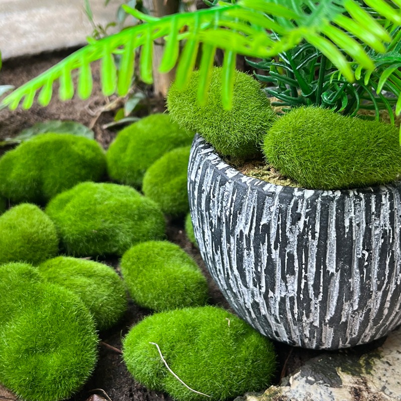 100/5 шт. Искусственные камни  – обзор и цена Sphagnum Moss Dry