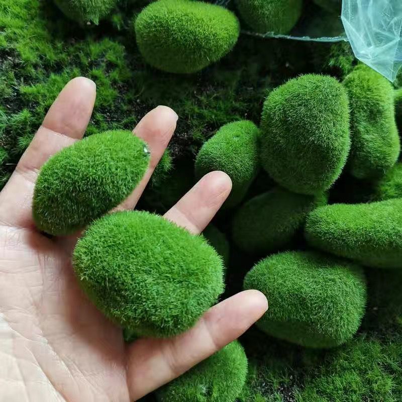 Искусственная зеленая фотограф – обзор и цена Sphagnum Moss Dry